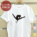 【即納 名入れ無し】 大人用 Tシャ