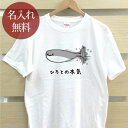 大人用 Tシャツ 誕生日 プレゼント 名入れ 名前入り 俺の本気 サカバンバスピスの本気 サカバンバスピス 古代魚 海 動物 グッズ 半袖 誕生日プレゼント ママへ パパへ 母の日 父の日 妻へ 夫へ メンズ レディース 大きいサイズ 親子 家族 お揃い 春夏 ブランド ココロコ