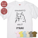 名入れ 名前入り Tシャツ 誕生日 プレゼント そんなことある? 猫 疑問 不思議 ネコ 猫tシャツ 猫グッズ 動物 半袖 面白 おもしろ 母の日 父の日 妻 夫 メンズ レディース 親子 家族 お揃い 春夏 ブランド ココロコ
