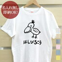 【即納 名入れ無し】 大人用 Tシャツ 誕生日プレゼント はしびろこう ハシビロコウ 嘴広鸛 動物 鳥 バード グッズ おもしろ 面白 忘年会 余興 景品 メンズ レディース 春夏 メール便送料無料 ブランド