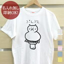 【即納 名入れ無し】 大人用 Tシャツ 誕生日プレゼント ねこもち ぷんぷん 猫 ネコ 猫Tシャツ 猫グッズ 動物 おもしろ 面白 忘年会 余興 景品 メンズ レディース 春夏 メール便送料無料 ブランド