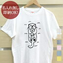 【即納 名入れ無し】 大人用 Tシャツ 誕生日プレゼント ラッコ 海の生き物 海生生物 海獣 海棲 動物 アニマル 水族館 グッズ おもしろ 面白 忘年会 余興...