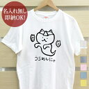 【即納 名入れ無し】 大人用 Tシャツ 誕生日プレゼント うらめしにゃ うらめしや 幽霊猫 お化け猫 猫 ネコ 猫Tシャツ 猫グッズ 動物 おもしろ 面白 忘年会 余興 景品 メンズ レディース 春夏 メール便送料無料 ブランド