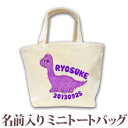 出産祝い 誕生日 プレゼント 名入れ 名前入り キャンバス ランチバッグ ミニトートバッグ 動物 恐竜 ブラキオサウルス 男の子 誕生日プレゼント 保育園 幼稚園 バック 百日祝い 100日祝い お七夜 【1枚のみメール便対応】 ブランド ココロコ