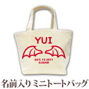 出産祝い 誕生日 プレゼント 名入れ 名前入り キャンバス ランチバッグ ミニトートバッグ かわいい 天使の羽 デザイン 小悪魔の羽 女の子 誕生日プレゼント 保育園 幼稚園 バック 百日祝い 100日祝い お七夜 【1枚のみメール便対応】 ブランド ココロコ