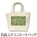 出産祝い 誕生日 プレゼント 名入れ 名前入り キャンバス ランチバッグ ミニトートバッグ ポップデザイン ハワイアンリーフ 男の子 女の子 誕生日プレゼント 保育園 幼稚園 バック 百日祝い 100日祝い お七夜 【1枚のみメール便対応】 ブランド ココロコ