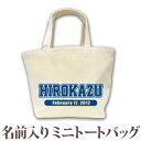 出産祝い 誕生日 プレゼント 名入れ 名前入り キャンバス ランチバッグ ミニトートバッグ 野球 サッカー バスケ バレー チームロゴA 男の子 女の子 誕生日プレゼント 保育園 幼稚園 バック 百日祝い 100日祝い お七夜 【1枚のみメール便対応】 ブランド ココロコ