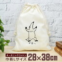 【即納 名入れ無し】 巾着袋 大 38×28cm アリクイ コアリクイ オオアリクイ アントイーター 威嚇 がおー 動物 グッズ おもしろ 面白 おしゃれ ナチ...