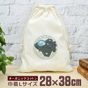 【即納 名入れ無し】 巾着袋 大 38×28cm 航空自衛隊 戦闘機 F-35 f35 ライトニング2 空自 飛行機 飛行機好き 戦闘機好き 戦闘機イラスト グ...