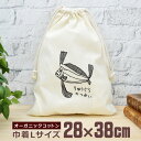 【即納 名入れ無し】 巾着袋 大 38×28cm リュウグウノツカイ 竜宮の使い 深海魚 魚 釣り 動物 釣り好き 水族館 グッズ おもしろ 面白 おしゃれ ナ...