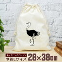 【即納 名入れ無し】 巾着袋 大 38×28cm ダチョウ 駝鳥 動物 グッズ おもしろ 面白 おしゃれ ナチュラル オーガニックコットン 男の子 女の子 小学...
