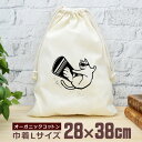 【即納 名入れ無し】 巾着袋 大 38×28cm スノーボード スノボ猫 ネコ 猫グッズ 動物 おもしろ 面白 おしゃれ ナチュラル オーガニックコットン 男の...