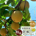 【送料無料】長野県産 梨 幸水 こうすい 特秀 3キロ 5キロ 贈答用 完熟 【8月下旬より順次発送】長野県 信州産 なし 果物 フルーツ 甘い梨 信州 産地直送 ギフト お取り寄せ