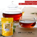 国産 有機 テアフラビン 和紅茶 2gx20ティーバッグ 茶葉タイプ ティーバッグ 自家用 自宅用 ※クリックポスト発送
