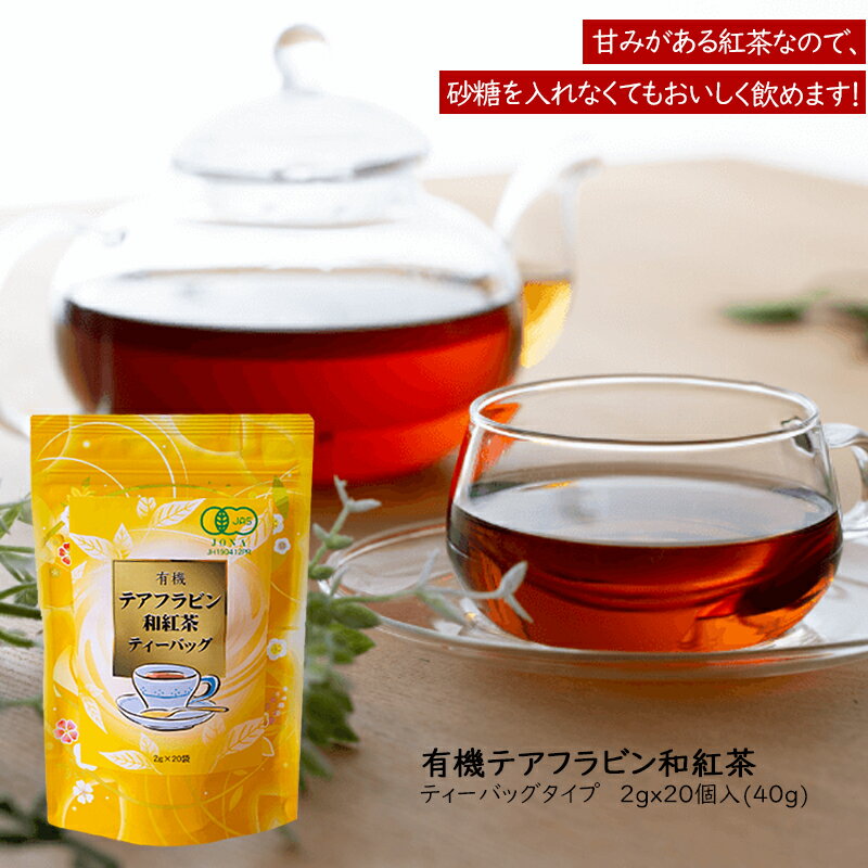 ͭ٤ˤդ2gx20p(40g)եץƥХåײʴɥϥȤʤɤΥ륮кˡ