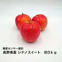 長野県産りんごシナノスイート約5 キログラム シナノスイート りんご 長野県産 信州産 糖度センサー選別 南信州 りんご3兄弟 長野県生まれのりんご