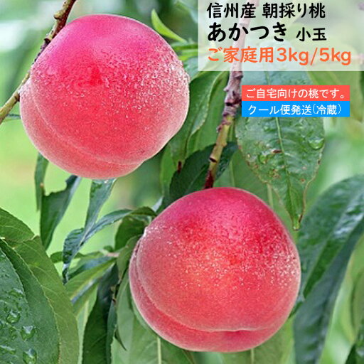 【予約】桃 あかつき 家庭用 約3キロ 5キロ 小玉 自宅用 【7月下旬より順次発送】長野県産 信州産 果物 フルーツ もも 信州 長野県 朝どり 産地直送 送料無料 ※クール便 【予約】桃 あかつき 家庭用 約3キロ 5キロ 小玉 自宅用 【7月下旬より順次発送】長野県産 信州産 果物 フルーツ もも 信州 長野県 朝どり 産地直送 送料無料 ※クール便