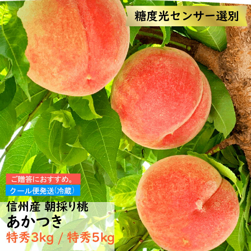 桃 あかつき 特秀3kg 特秀5kg 贈答長野県産 信州産 果物 フルーツ もも 信州 長野県 朝どり 産地直送 お中元 ギフト 送料無料 ※クール便