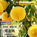 【送料無料】【糖度12.5度以上】 桃 黄金桃 特秀 約3kg/ 約5kg【8月中旬より順次発送】長野県産 信州産 黄桃 果物 フルーツ もも 信州 長野県 朝どり 産地直送 ギフト 贈答 お取り寄せ 送料無料 ※クール便