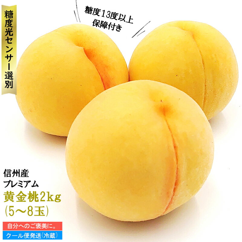 13ٰʾݾڡץߥ2kg2024ǯ8ܤ缡ȯĹʪե롼Ĥ⿮Ĺīɤ껺ľ渵£̵