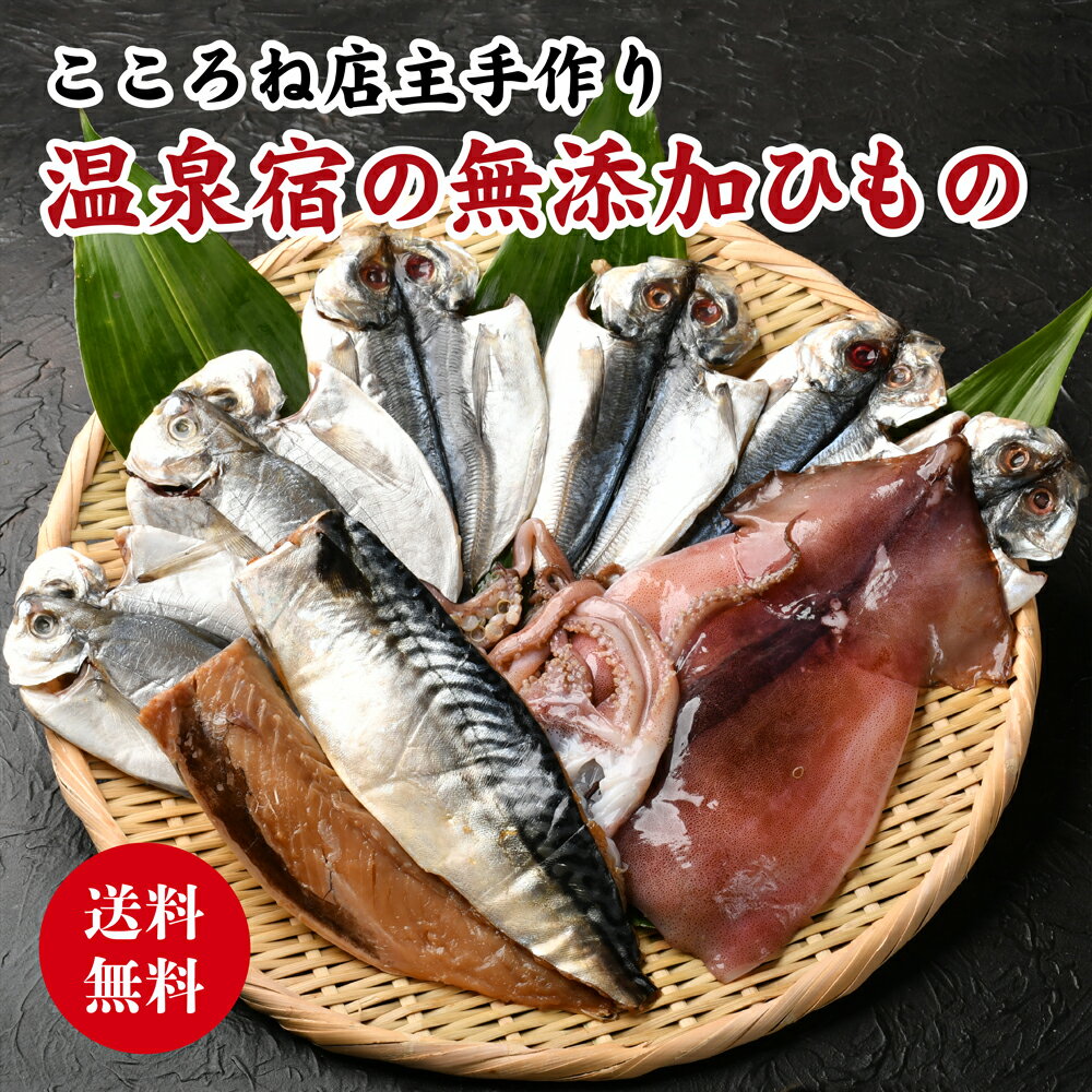 無添加 天日干し 干物 セット ひもの4種9枚 伊豆 伊東 加工 さば みりん干し アジ イカ一夜干し 減塩 個包装 内祝い お返し 贈答用 父の日 母の日 プレゼント ギフト 送料無料 訳あり 冷凍 おつまみ 詰め合わせ お礼 誕生日 キャンプ 燻製 スモーク BBQ 贈り物 取り寄せ