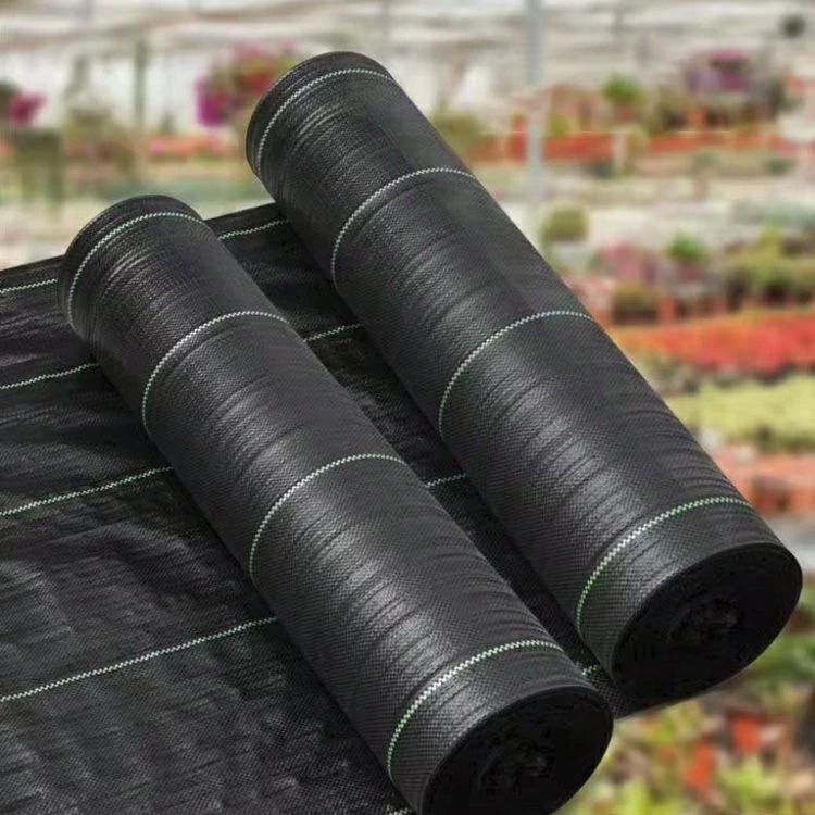 防草シート 1m×200m 2m×100m 除草シート 雑草防止シート 草除け 農用シート 人工芝...