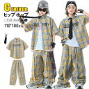 チェック柄 ダンス衣装 キッズ セットアップ 半袖 シャツ チェック柄 パンツ カーゴパンツ tシャツ かっこいい ゆったり 韓国 k-pop 衣装 キッズ ダンス服 ユニセックス ヒップホップ ジャズ チアダンス ステージ衣装 発表会 HIPHOP 演出 イベント 応援団 110 180