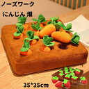 ペットおもちゃ ノーズワーク 犬 畑 にんじん 人参 犬のおもちゃ 知育玩具 犬 おもちゃ ペット 遊び場所 ぬいぐるみ 訓練毛布 おやつ隠し 運動不足 ストレ...