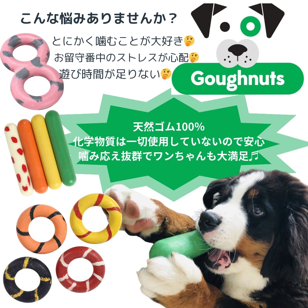 COCORPET 楽天市場店のGoughnuts(ゴーナッツ) リング小 犬用おもちゃ 天然ゴム100％ 小型~中型犬 引っ張り 高耐久 アメリカ製 安心安全 ワンちゃん 噛む 遊び ストレス ラバートイ 投げる 水遊び｜アングル2