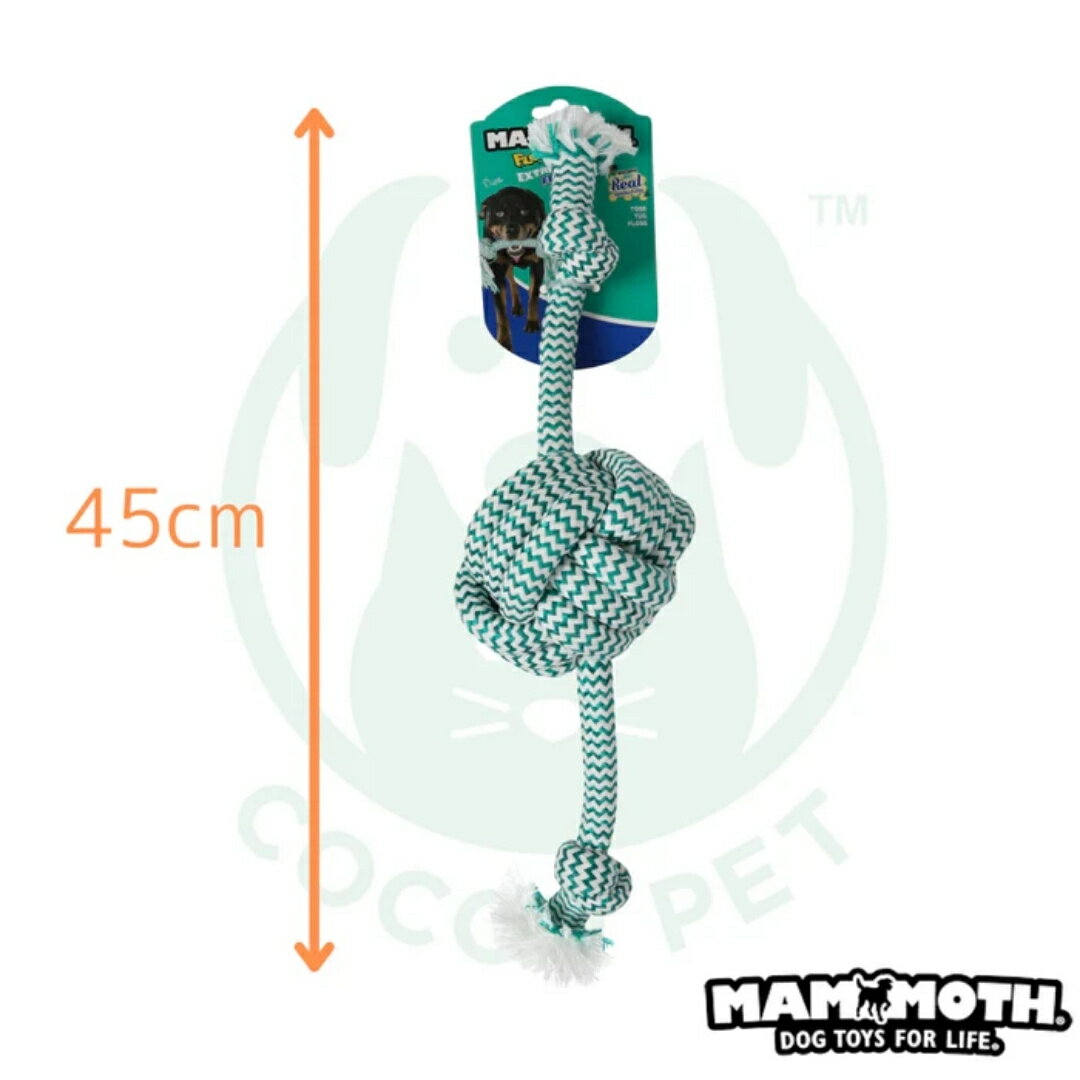 �ڥ����ץ�ǰ P5�ܡ�MAMMOTH(�ޥ�⥹) �ǥ󥿥�����ץܡ��� �������ȥ饹�ȥ��� �ե�å���ߥ�� 45cm L�������緿���� ���ѥ����פ������ Ĺ���� �ѵ��� �ǥ󥿥�ե��� ���᤭ ���ʼ����åȥ� �������