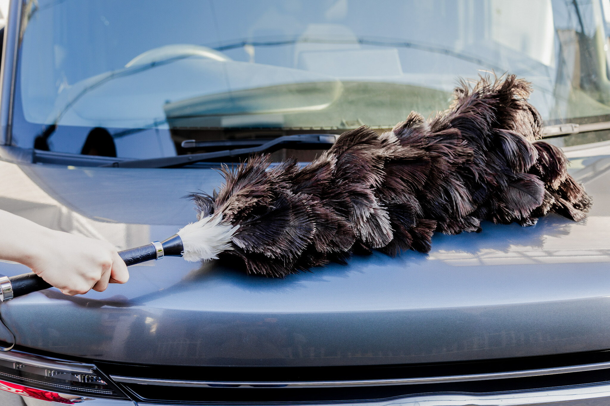 �ںǹ��ʼ��� �ӤФ��� ���� �� �ӥХ��� �������ȥ�å� �Ϥ��� ��ư�� ���� �ۥ����� �ۤ��� ��å� �ӤϤ��� ���ƥʥ� ���饹�����ƥ��� ���� ��ʴ ���� �ݽ� ��á�� Լ��� ���� Ļ�� ŷ���Ǻ� ��ñ ������ ���� �ڼ�ư�� ���� ���� �֥�å� ����