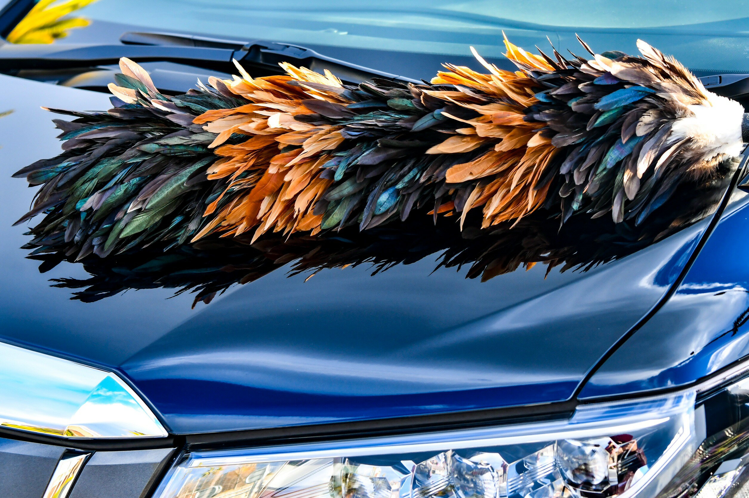 �ںǹ��ʼ��� �ӤФ��� ���� �� �ӥХ��� ŷ������ �Ϥ��� ��ư�� ���� �ۥ����� �ۤ��� ��å� �ӤϤ��� ���ƥʥ� ���饹�����ƥ��� ���� ��ʴ ���� �ݽ� ��á�� Լ��� ���� Ļ�� ŷ���Ǻ� ��ñ ������ ���� �ڼ�ư�� ���� ���� �֥�å� ��������