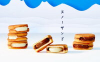 北海道限定 スノーサンド バラ売り クッキーチョコ ホワイトチョコレート お菓子 クッキー チョコレート 北海道 プレゼント お土産 SNOWS きのとや 生チョコレートサンド イベント 人気 ラングドシャ SNOWサンド