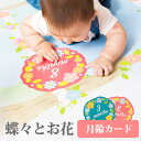 【23日20時〜P10倍+180円クーポン】 月齢カード マンスリーカード【蝶々とお花】 1000円ポッキリ ポイント消化 送料無料 月齢フォト 月齢ステッカー...