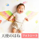 【23日20時〜P10倍+180円クーポン】 インスタ映え 背景 シート 月齢フォトシート 天使のはね 月齢フォト マンスリーフォト 寝相アート 100日 お昼...