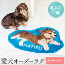 【99円OFFクーポン配布中】 【2024年10月30日新発売!】愛犬オーダーラグ タフティング 愛犬マット オリジナル 名入れ いぬ 愛犬健康手帳 犬 オーダ...