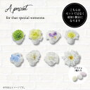 【9日20時〜P10倍+180円クーポン】 セシル プチギフト 【hearty】【20個セット】 結婚式 退職 母の日 父の日 出産 育休 お世話になりました ...