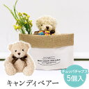 【5/9-16限定★最大P10倍+180円クーポン】 ギフト キャンディベアー ベアー くま ぬいぐるみ キャンディー 出産祝い 卒業 卒園 退職 個包装 産休...