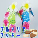 【19日まで!80円OFFクーポン配布中】 ブルメリアクッキー ハートクッキー プチギフト 【hearty】【20個セット】 結婚式 退職 母の日 父の日 出産...