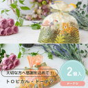 【39円OFFクーポン配布中】 プチギフト トロピカルドーナツ お菓子 300円 ドーナツ ウェディング ブライダル 卒業 卒園 退職 個包装 結婚式 可愛い お中元 敬老の日 小学生 おしゃれ 300円 500円 200円 雑貨 ばらまき 送別会 お返し ココサブ