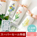 【31日限定 39円クーポン】 プチギフト 入浴剤 ボタニカルフラワー 1個から 500円 300円 退職 大量 個包装 結婚式 卒園 卒業 職場 お中元 敬老の日 おしゃれ ありがとう 産休 挨拶 センスのいい 子供 お世話になりました ココサブ