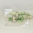 【23日20時〜P10倍+180円クーポン】 アクリル結婚証明書 プランツ 結婚式 アクリル 結婚証明書 オシャレ ゲスト参加型 参加型 キリスト教式 人前式 ...