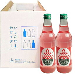 【アンテさんより直送】金沢砂丘サイダー　すいか姫（340ml×6本組）（H-06）Ante アンテ【メーカー直送】【代金引換不可】【同梱不可】