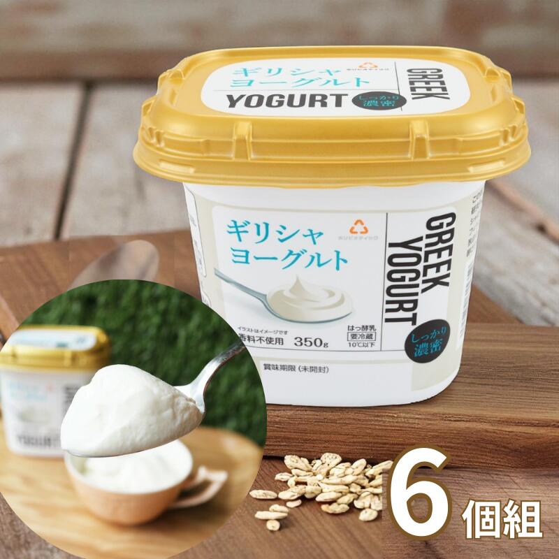 【直送・冷蔵】ホリ乳業 ギリシャヨーグルト 350g 6個組 【代金引換不可】