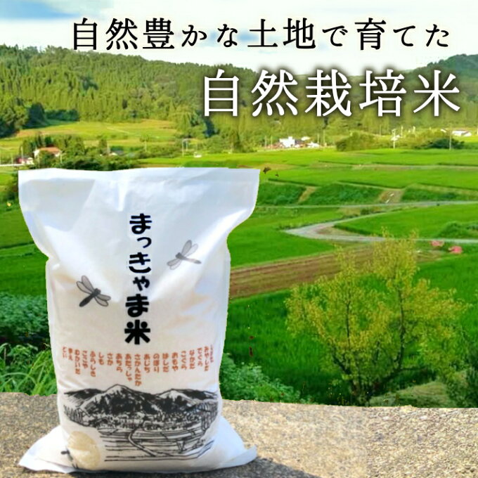 お中元にも// 無農薬 石川県産コシヒカリ10kg（5kg×2） まっきゃま米（2年...