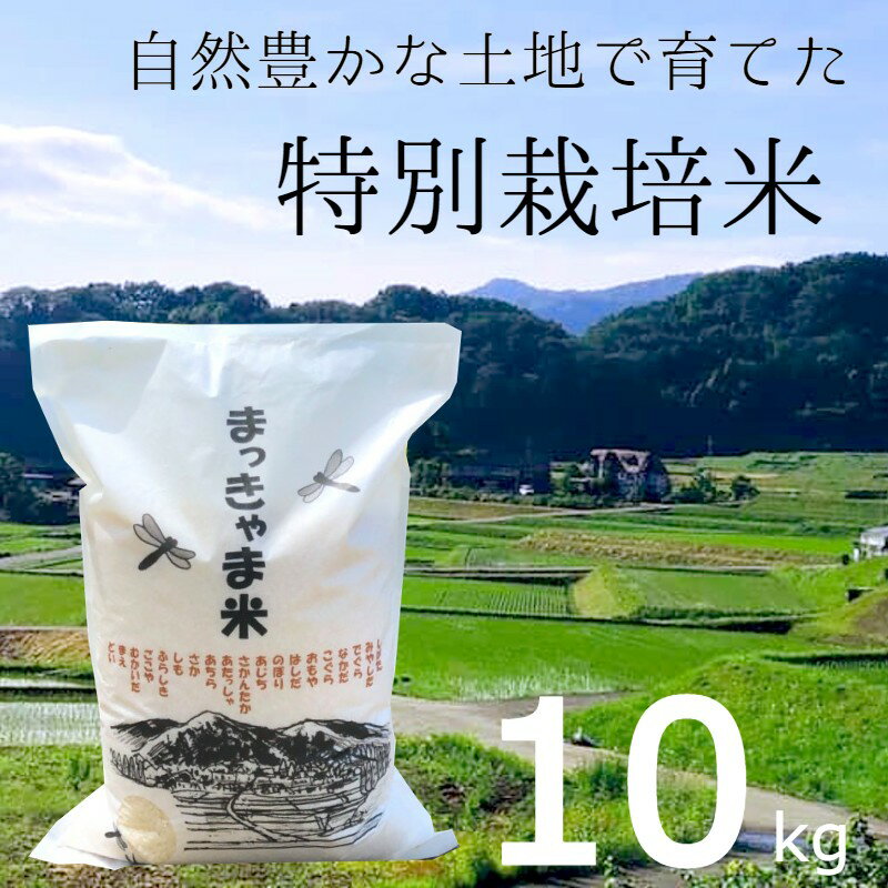 人気ランキング第44位「金沢 加賀 能登の味 coco彩果」口コミ数「1件」評価「5」【復興支援】売り上げの一部を作り手へ【集落が被災されましたが米の蔵は無事でした】特別栽培米 　石川県産こしひかり　棚田米”まっきゃま米”　（5kg×2）（玄米 or白米）R5年度産 【送料込み】【夏期冷蔵配送】【10kg】