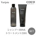 ＼ポイント増量中／ ディアテック ヴァリジョア バリジョア シャンプー ディアテック 300ml トリートメント 230g 【2本セット】 本体 オイル サロン専売品 ヘアオイル 髪質改善 ホームケア プロ詰替用 Varijoie DEARTECH ハリ ツヤ 潤い しなやかさ その1