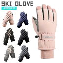 スキーグローブ 5本指 グローブ スノボ 手袋 送料無料 男女 スノーボード メンズ レディース グローブ 防寒 防水 撥水 女性 男性 スキー バイク ツーリング ウインタースポーツ 自転車 雪かき 冬 通勤 通学