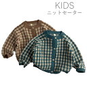 ニットセーター 子供服 キッズ服 前開き カーディガン セーター キッズ ニット 秋冬 可愛い ジュニア 子ども 長袖 男の子 女の子 通園 通学 お祝い トップス ギフト プレゼント 送料無料 90cm 100cm 110cm 120cm 130cm