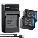【1190円OFF&P10倍】新品 PANASONIC DMC-GH1 互換バッテリー【1350mAh 7V】対応用 1年保証 高性能 リチャージャブルバッテリー リチウムイオンバッテリー デジタルカメラ デジカメ 充電池 YGB 2025GB-XIJPAC
